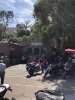 IMG_0184.jpg