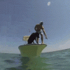 D83E9B54-7572-491C-9D8A-F8629B5FF2B2.gif