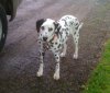 IMG_0098.jpeg
