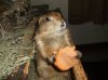 Picture1-12-2020 118.jpg