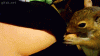 C6B27AFF-BFAE-4720-9121-4207D14ED4F8.gif