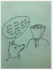 cv dog.JPG