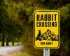 Rabbit Crossing.jpg