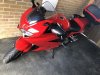 IMG_3595.jpg