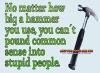 Common Sense.png