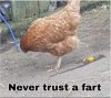 Chicket fart.jpg
