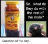 Mole asses.jpg