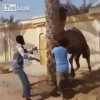 5E093033-BF49-4421-8AE6-B153C620100B.gif