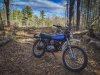 PSX_20201121_130725.jpg