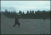 D3C77B89-242E-4E73-BA22-2AE709D9D245.gif
