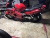 IMG_1330.jpeg