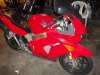 DSC01250.jpg