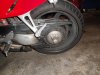 DSC01254.jpg