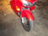 DSC01263.jpg
