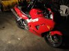DSC01256.jpg