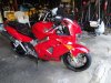 DSC01272.jpg