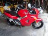 DSC01282.jpg