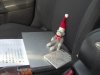 socky in car.jpg