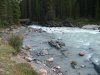 IMG_1107.jpg