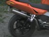 img297.jpg