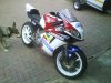 DSC02164.jpg
