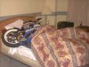 bike bed.jpg
