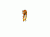 tiger2.gif