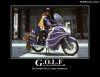low_2c476524497c4f6.jpg