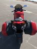 Back.jpg