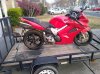 vfr800 left.jpg