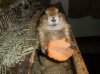 Picture1-12-2020 114.jpg