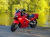 2-Scenic 800x600x72.jpg