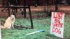 56E176E1-0865-4784-9299-4C518A2780F9.jpeg