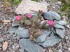 20150531_180851.jpg