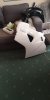IMG-20180901-WA0009.jpeg