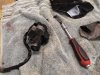 IMG_20201107_133524.jpg