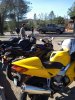 IMG_20210509_165657115.jpg