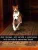 8A18C848-BA06-446C-9CA8-914FF26A05B0.jpeg