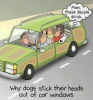 1944B218-D3CC-4499-B653-185FD7DC3E58.png