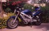 gallery_3647_3505_60522.jpg