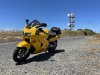 IMG_2864.jpg
