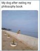 CA7F5161-88E8-4BD0-9573-BC224D75A199.jpeg