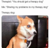 C28D9B8D-2C5D-46E1-949D-E06AEBA69A59.png