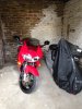 IMG-6212.JPG