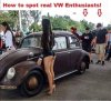 VW Enthusiasts.jpg