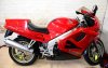 DSC_7335.JPG