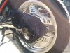 IMG_20221009_142204_254.jpg
