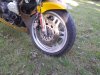 IMG_20191026_153240021.jpg