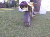 IMG_20191026_153323236.jpg