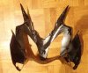 U Cowl 4.jpg